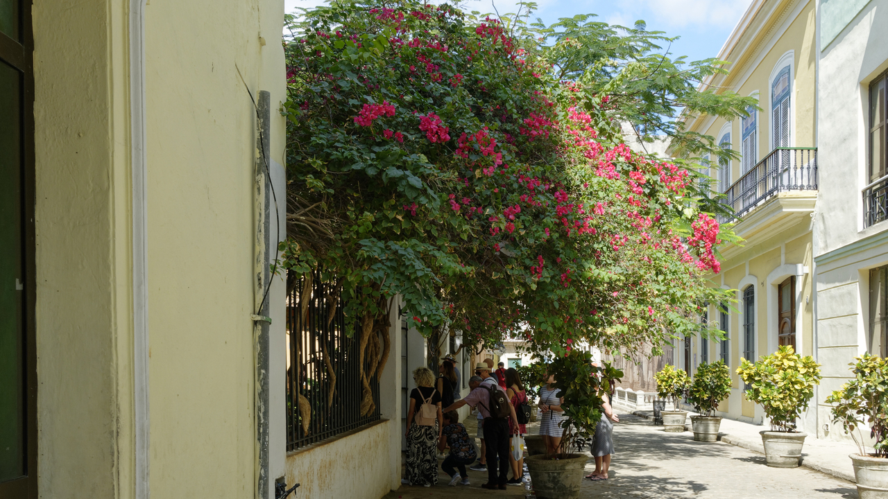 20190210-121116••Havana•La Habana•Cuba